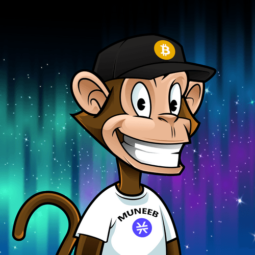 Bitcoin Monkeys